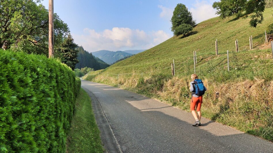 Wanderung Hohe Ranach von Rothenthurm - Touren-Impression #2.2 | © Weges OG