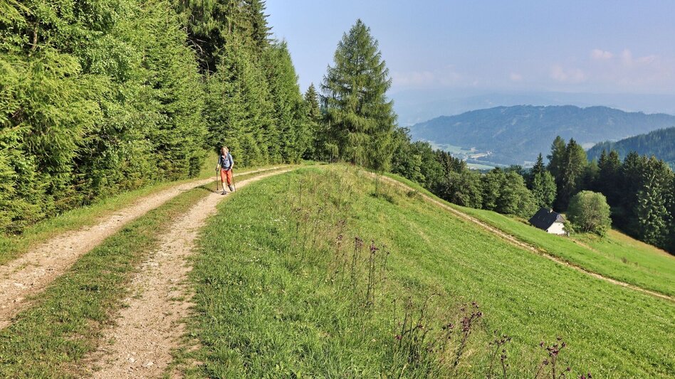 Wanderung Hohe Ranach von Rothenthurm - Touren-Impression #2.3 | © Weges OG