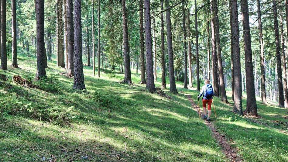 Wanderung Hohe Ranach von Rothenthurm - Touren-Impression #2.5 | © Weges OG