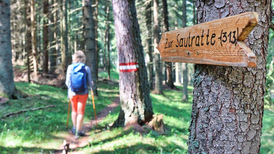 Wanderung Hohe Ranach von Rothenthurm - Touren-Impression #2.6 | © Weges OG