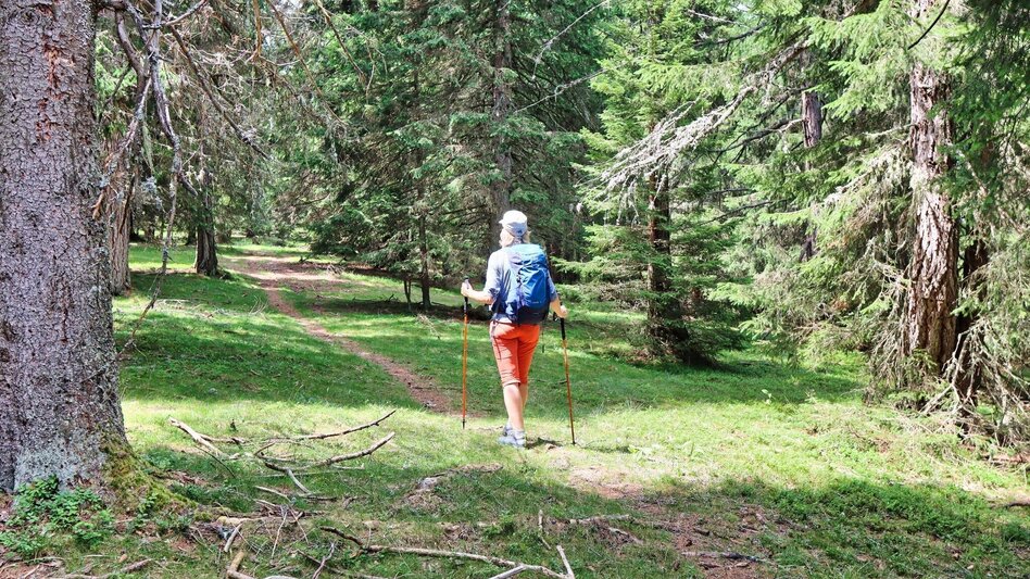 Wanderung Hohe Ranach von Rothenthurm - Touren-Impression #2.7 | © Weges OG