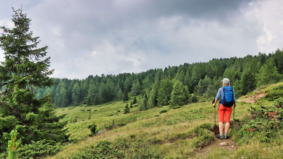Wanderung Hohe Ranach von Rothenthurm - Touren-Impression #2.8 | © Weges OG