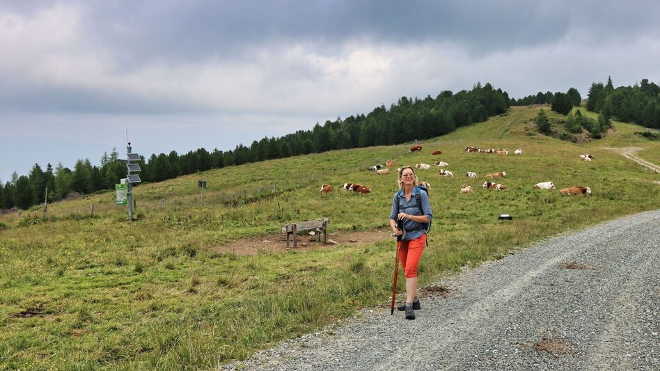 Wanderung Hohe Ranach von Rothenthurm - Touren-Impression #2.9 | © Weges OG