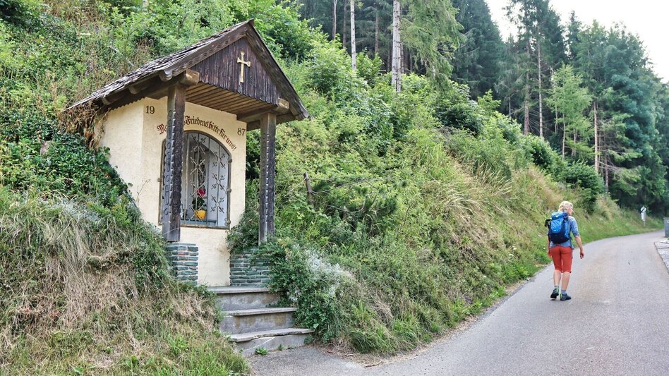 Hiking route Hölzlkogel from Rothenthurm - Touren-Impression #2.1 | © Weges OG