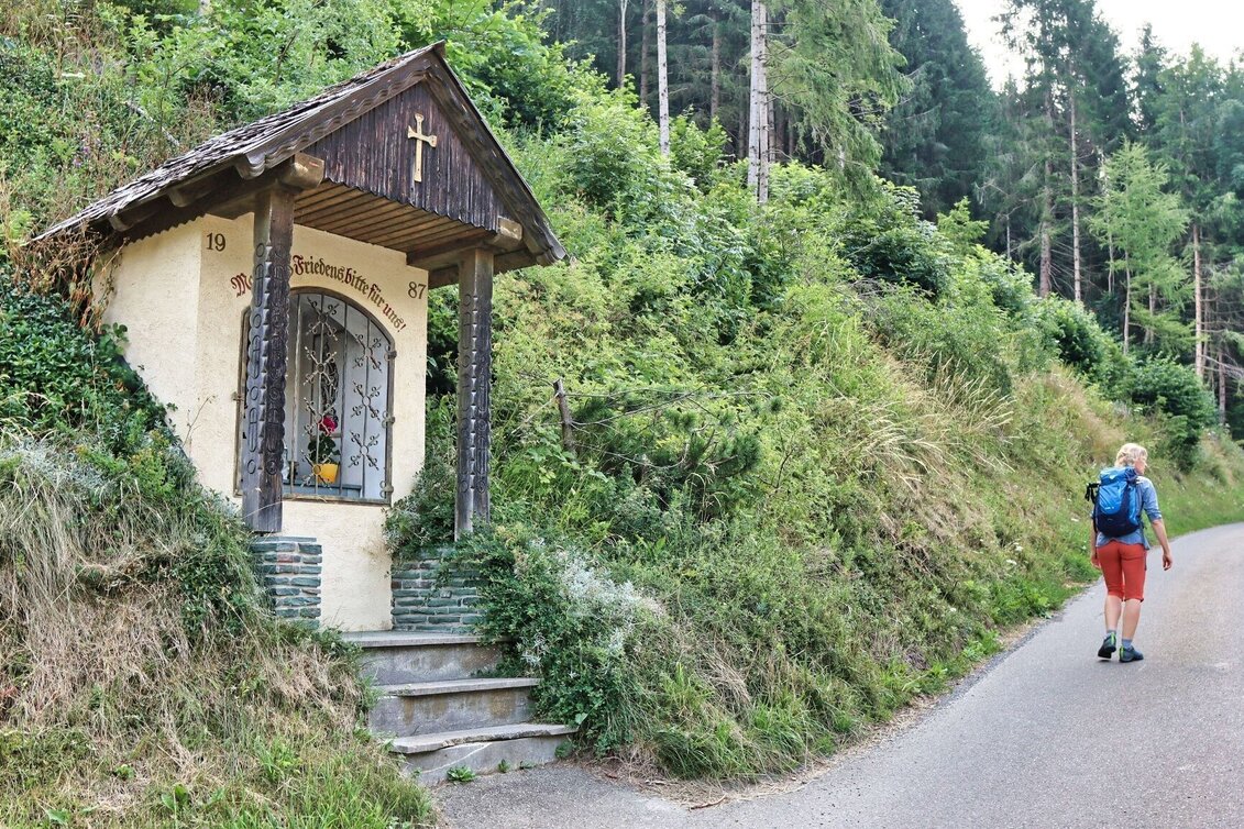 Hiking route Hölzlkogel from Rothenthurm - Touren-Impression #1 | © Weges OG