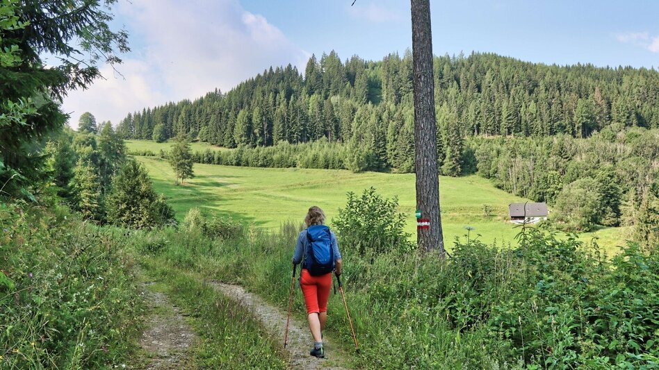 Hiking route Hölzlkogel from Rothenthurm - Touren-Impression #2.5 | © Weges OG