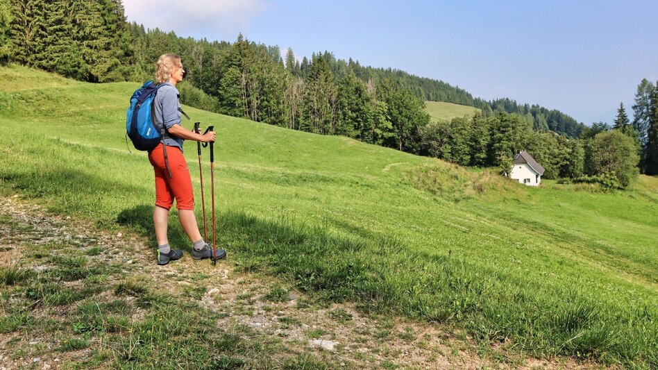 Hiking route Hölzlkogel from Rothenthurm - Touren-Impression #2.6 | © Weges OG