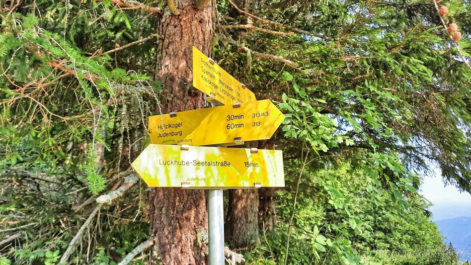 Hiking route Hölzlkogel from Rothenthurm - Touren-Impression #2.7 | © Weges OG