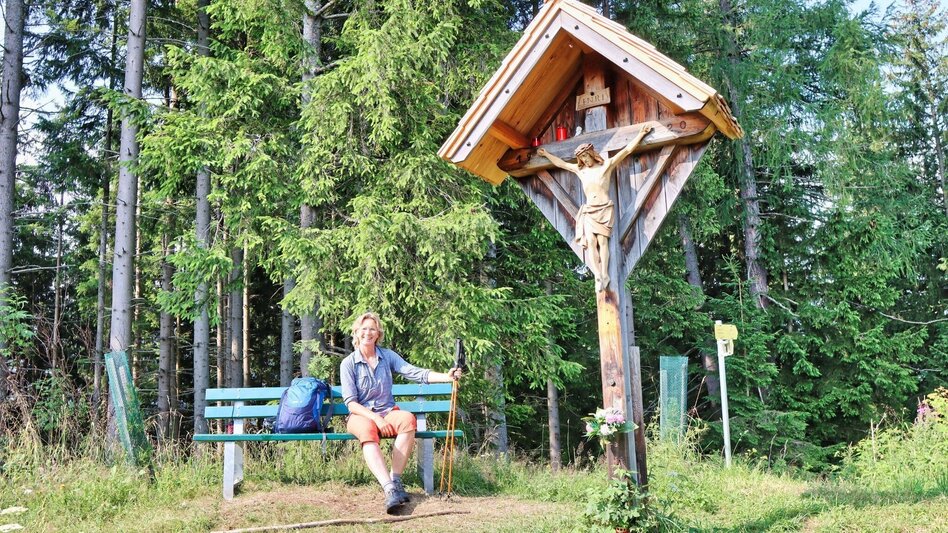 Hiking route Hölzlkogel from Rothenthurm - Touren-Impression #2.8 | © Weges OG