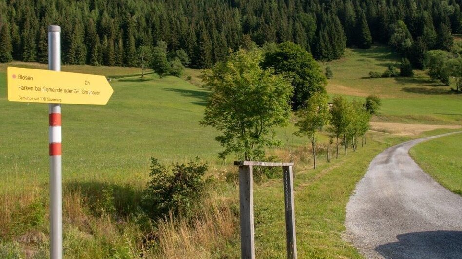 Mountain Hike Blosen - Touren-Impression #2.3 | © TV Gesäuse