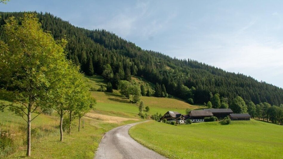 Mountain Hike Blosen - Touren-Impression #2.4 | © TV Gesäuse