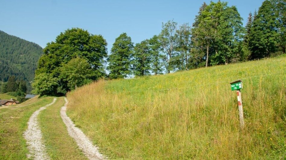 Mountain Hike Blosen - Touren-Impression #2.5 | © TV Gesäuse