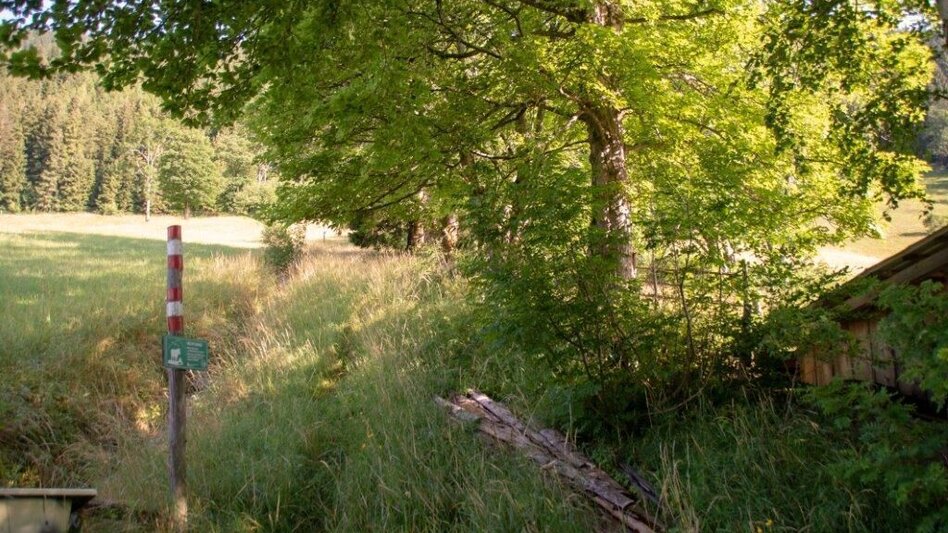 Mountain Hike Blosen - Touren-Impression #2.6 | © TV Gesäuse