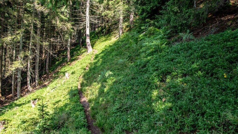 Mountain Hike Blosen - Touren-Impression #2.9 | © TV Gesäuse