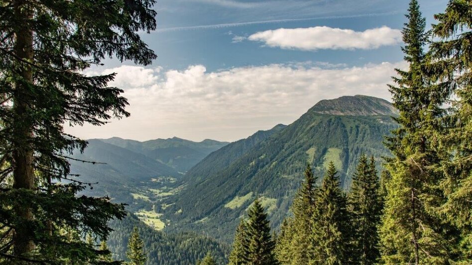 Mountain Hike Blosen - Touren-Impression #2.10 | © TV Gesäuse