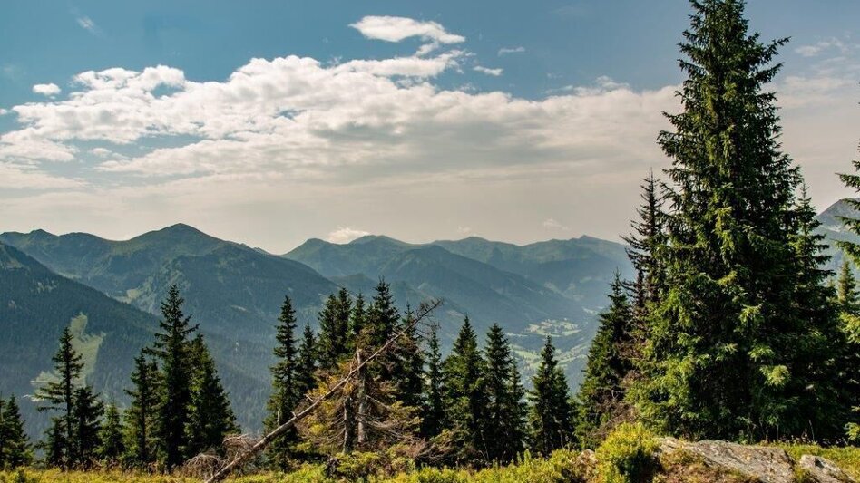 Mountain Hike Blosen - Touren-Impression #2.15 | © TV Gesäuse