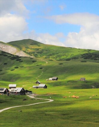 Almboden auf der Schneealm | Andreas Steininger | © Naturpark Mürzer Oberland