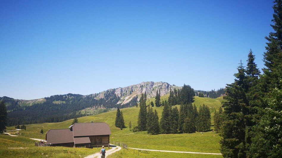 Hiking route By Bus to the Mountain – Hinteralm Crossing - Touren-Impression #2.1 | © TV Hochsteiermark