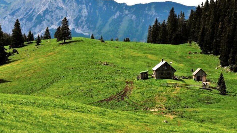 Hiking route By Bus to the Mountain – Tonion Crossing - Touren-Impression #2.1 | © Naturpark Mürzer Oberland