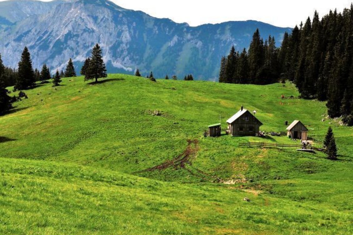 Hiking route By Bus to the Mountain – Tonion Crossing - Touren-Impression #1 | © Naturpark Mürzer Oberland