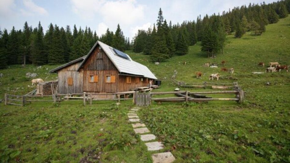 Hiking route By Bus to the Mountain – Tonion Crossing - Touren-Impression #2.6 | © Naturfreunde Österreich