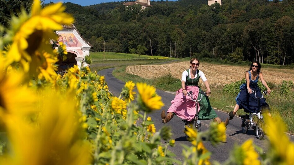 Bike Riding Garden tour Eastern Styria - Touren-Impression #2.1