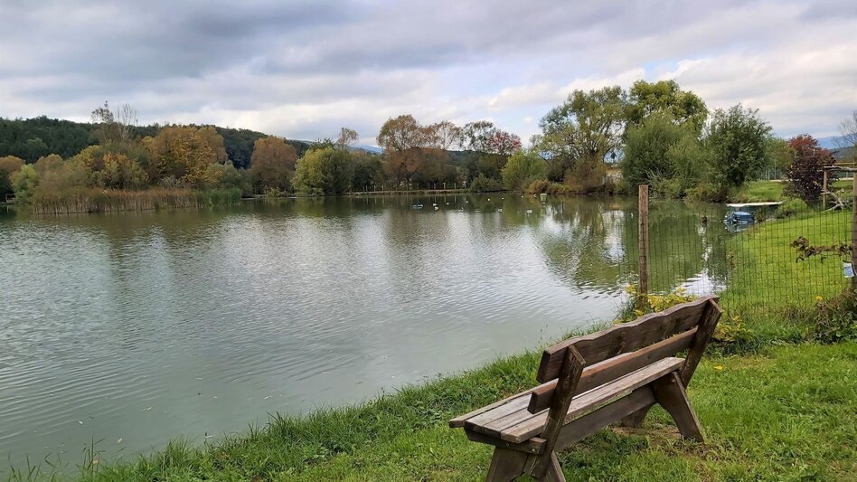 Bike Riding Garden tour Eastern Styria - Touren-Impression #2.13 | © Oststeiermark Tourismus