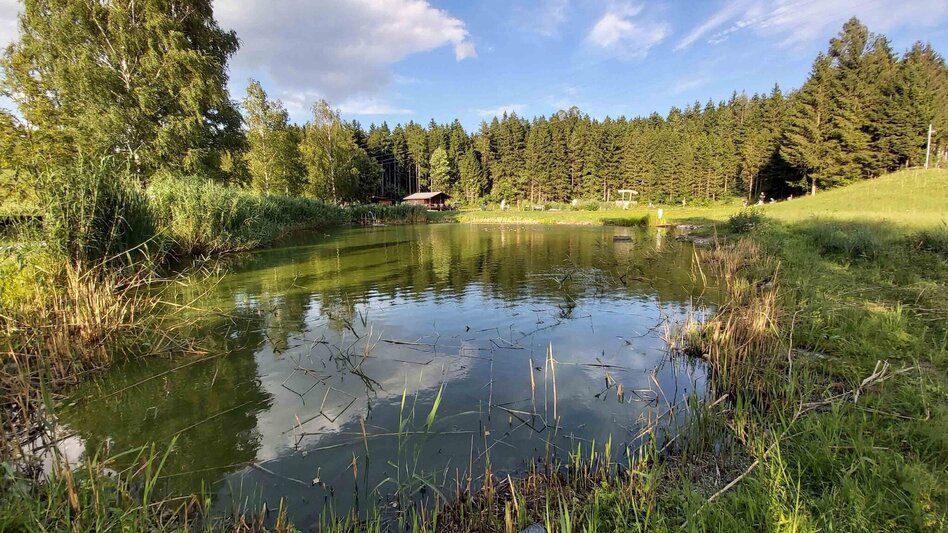 Hiking route Sattelberge & Gösser from Passail - Touren-Impression #2.2 | © Oststeiermark Tourismus