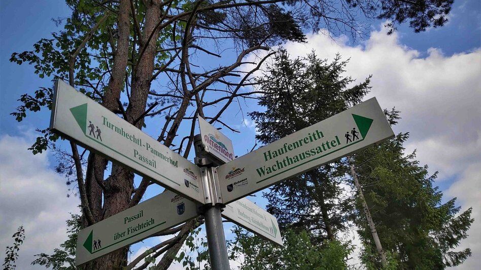 Hiking route Sattelberge & Gösser from Passail - Touren-Impression #2.3 | © Oststeiermark Tourismus