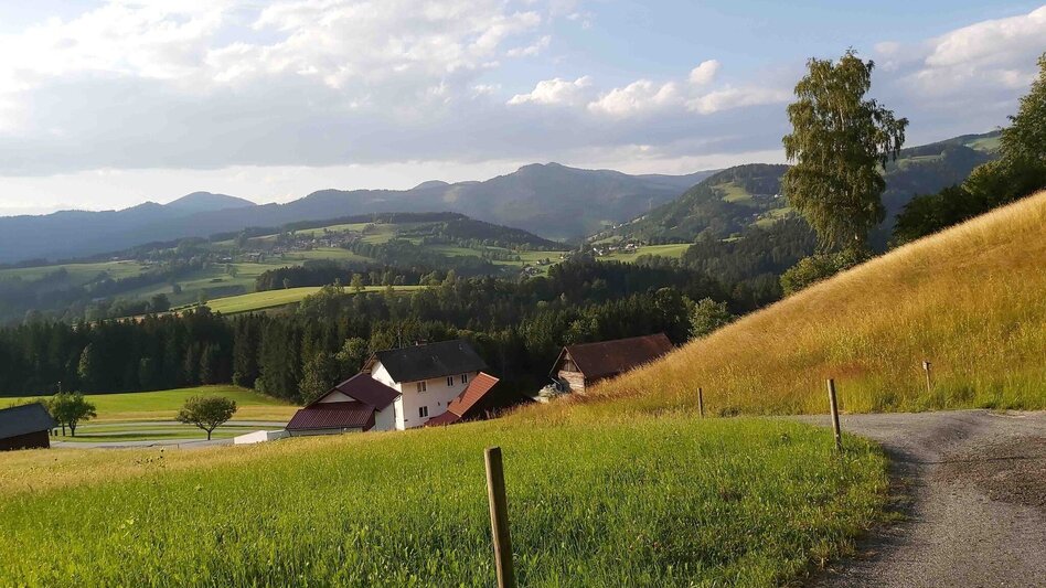Hiking route Sattelberge & Gösser from Passail - Touren-Impression #2.6 | © Oststeiermark Tourismus