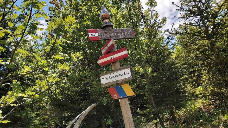 Hiking route Sattelberge & Gösser from Passail - Touren-Impression #2.9 | © Oststeiermark Tourismus