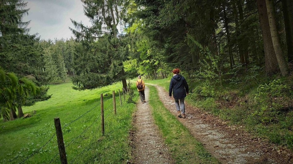 Hiking route Sattelberge & Gösser from Passail - Touren-Impression #2.10 | © Oststeiermark Tourismus