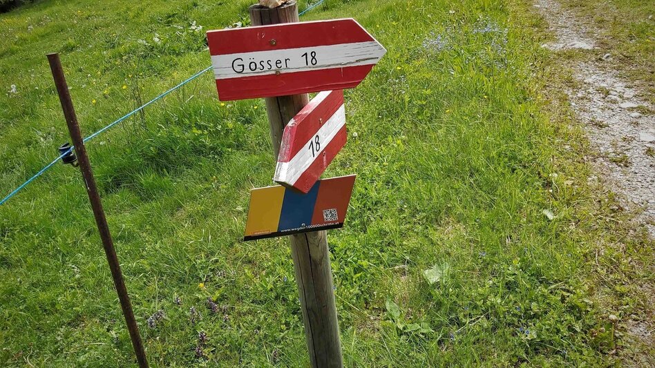 Hiking route Sattelberge & Gösser from Passail - Touren-Impression #2.13 | © Oststeiermark Tourismus