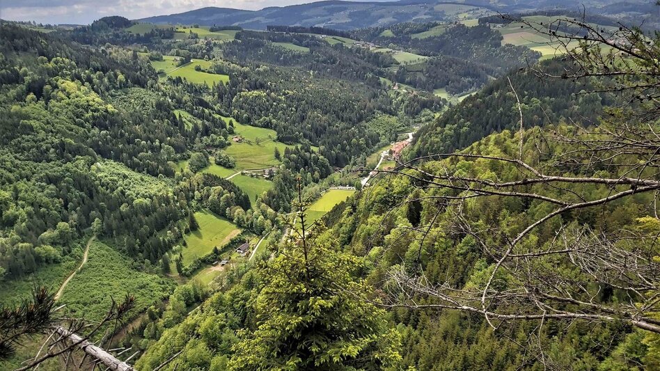 Hiking route Sattelberge & Gösser from Passail - Touren-Impression #2.1 | © Oststeiermark Tourismus