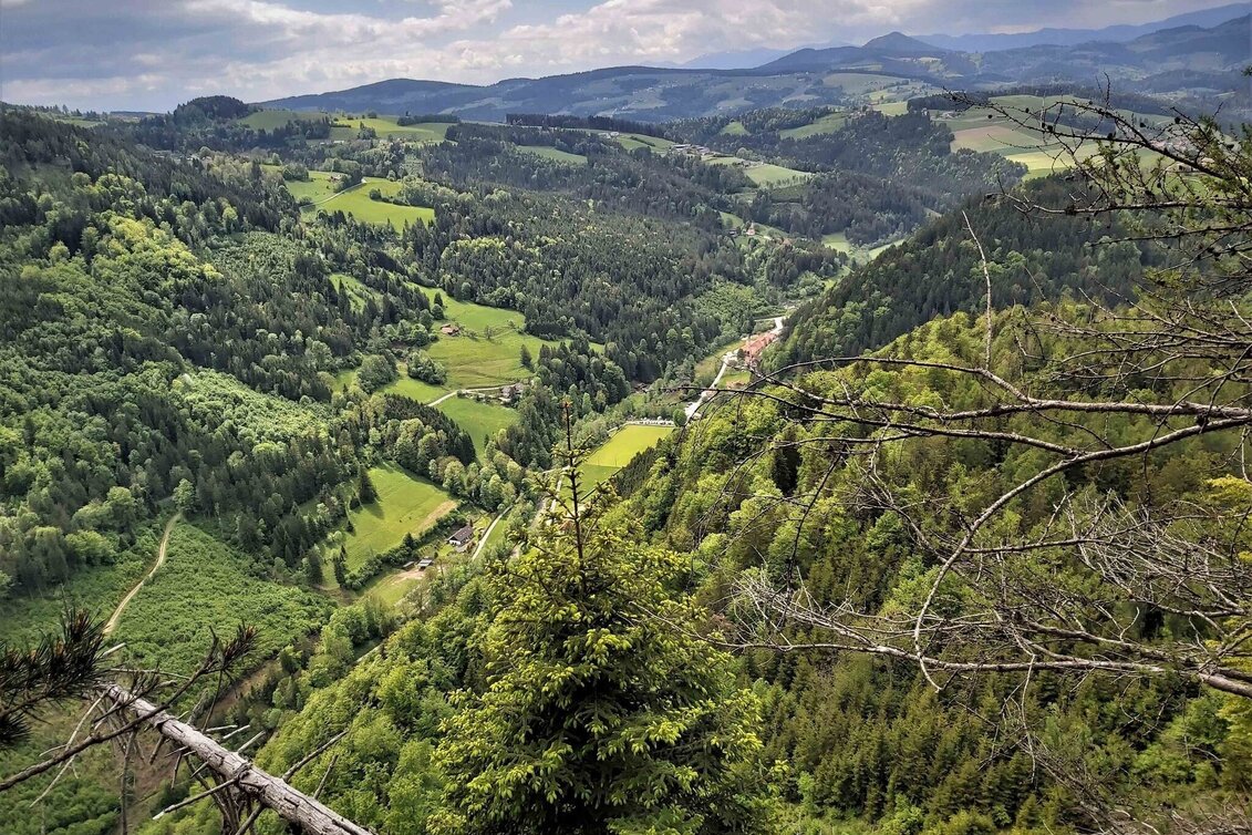 Hiking route Sattelberge & Gösser from Passail - Touren-Impression #1 | © Oststeiermark Tourismus