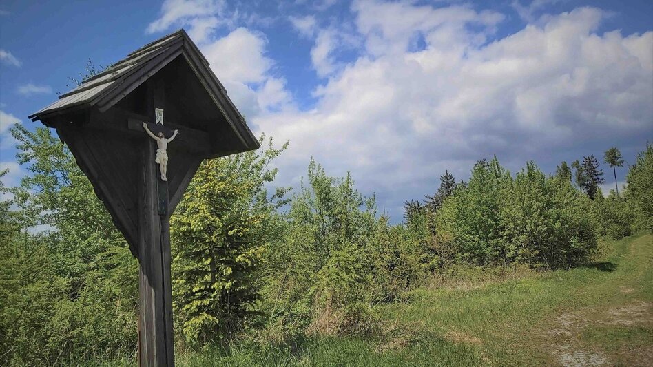 Hiking route Sattelberge & Gösser from Passail - Touren-Impression #2.16 | © Oststeiermark Tourismus