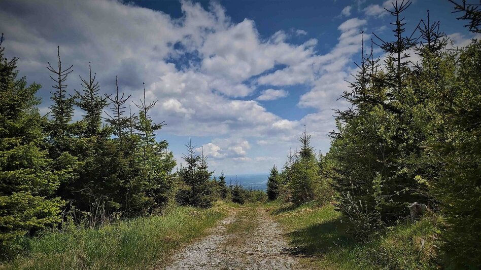 Hiking route Sattelberge & Gösser from Passail - Touren-Impression #2.17 | © Oststeiermark Tourismus