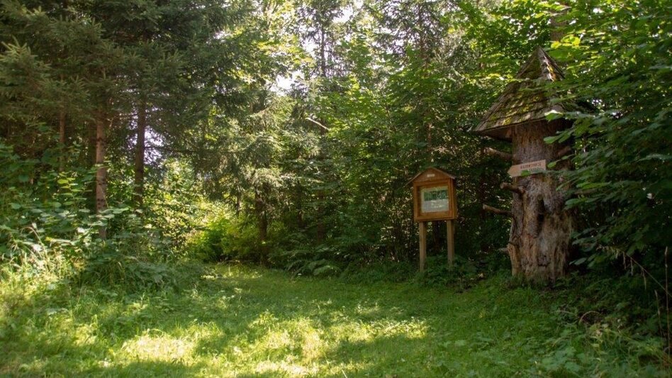 Wanderung Rundwanderweg Burg Strechau - Touren-Impression #2.2 | © TV Gesäuse