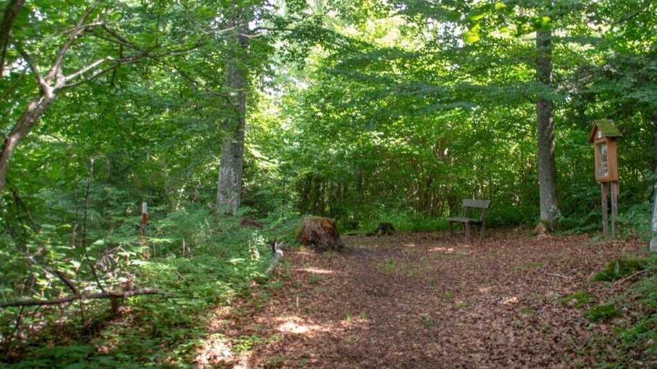 Wanderung Rundwanderweg Burg Strechau - Touren-Impression #2.4 | © TV Gesäuse