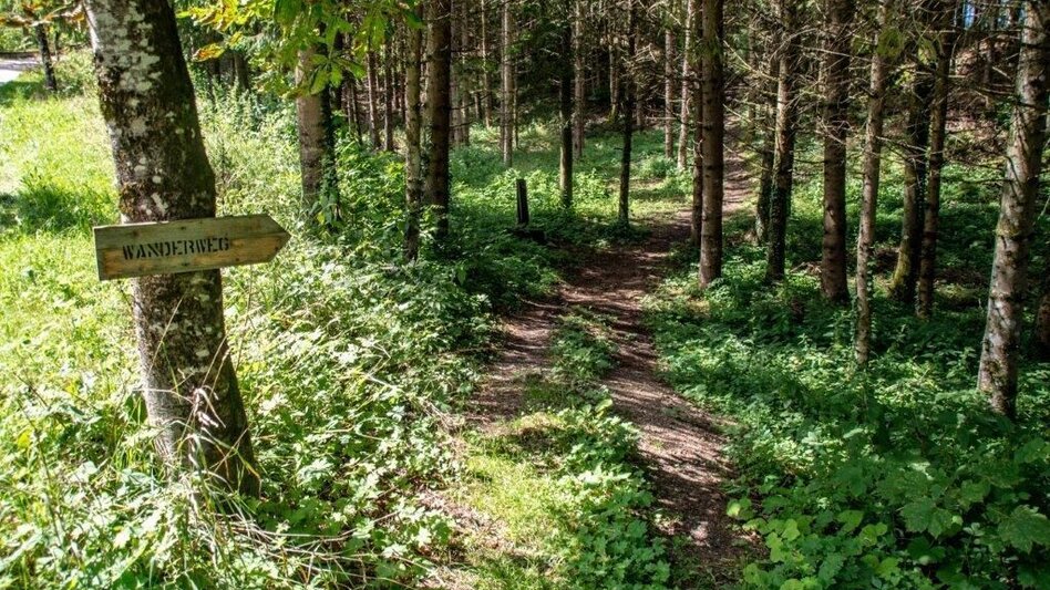 Wanderung Rundwanderweg Burg Strechau - Touren-Impression #2.5 | © TV Gesäuse