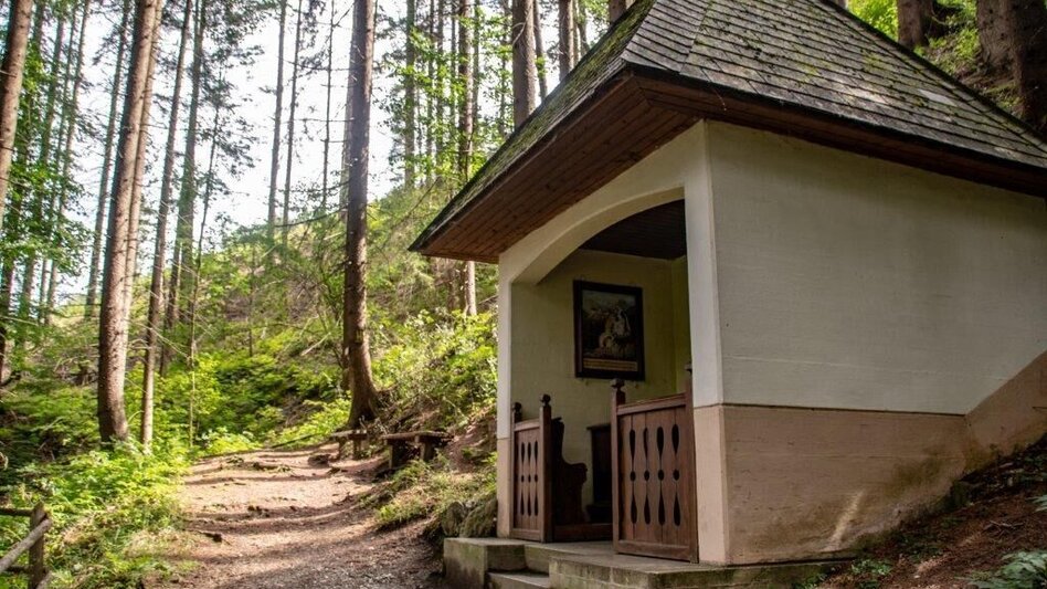 Wanderung Rundwanderweg Burg Strechau - Touren-Impression #2.11 | © TV Gesäuse