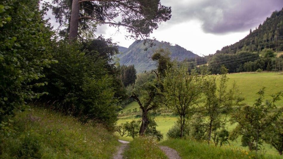 Wanderung Rundwanderweg Burg Strechau - Touren-Impression #2.13 | © TV Gesäuse