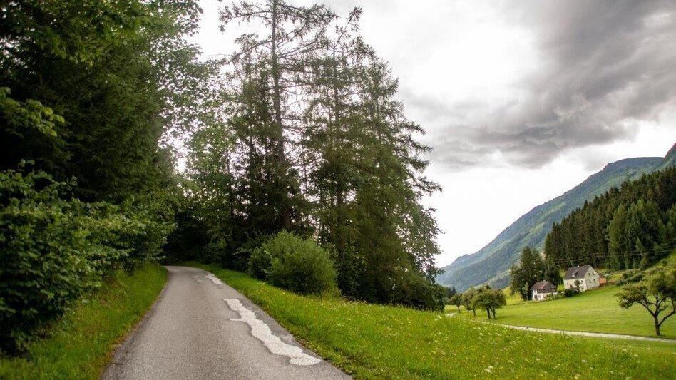 Wanderung Rundwanderweg Burg Strechau - Touren-Impression #2.14 | © TV Gesäuse