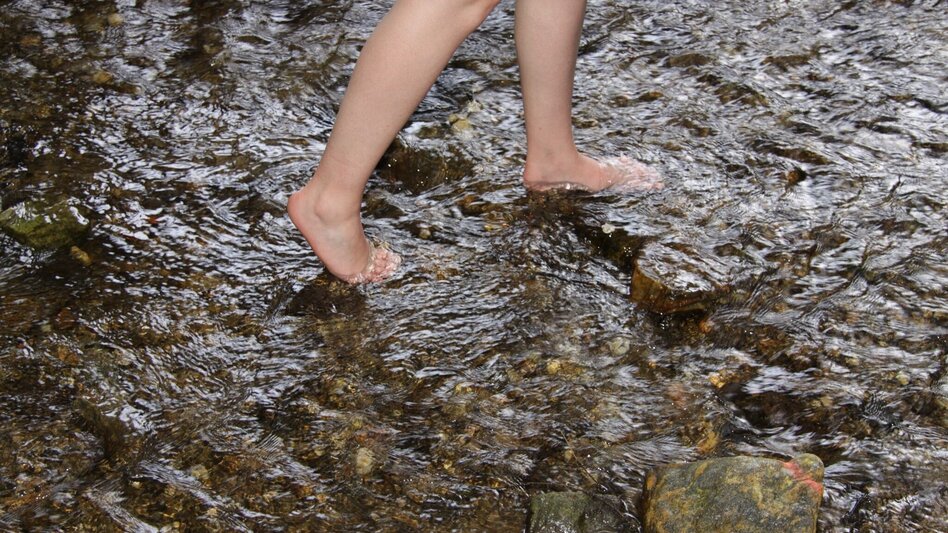 Wanderung Barfußpark, Wenigzell - Touren-Impression #2.4 | © Rupert Augustin