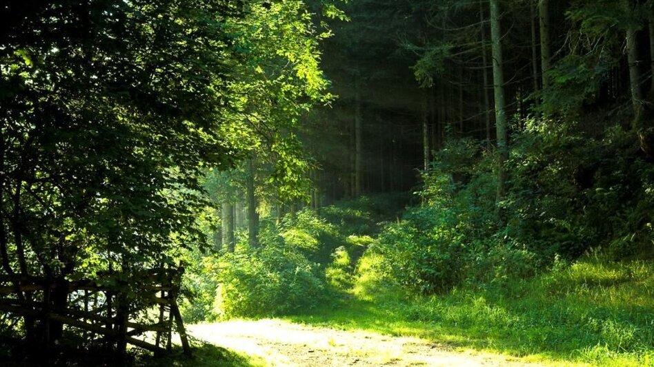 Hiking route Augustine Way, Vorau - Touren-Impression #2.3 | © Verein Vorauer Wirtschaft