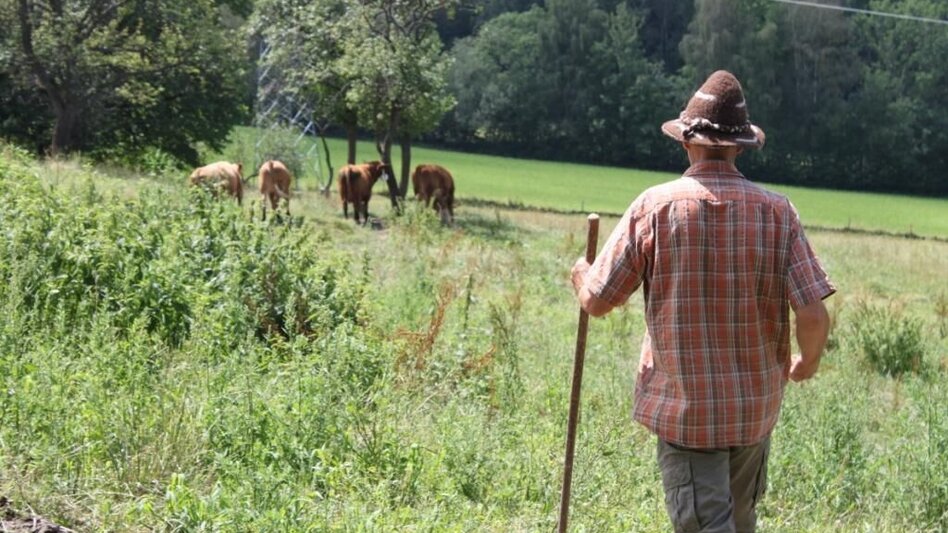Wanderung Florianiweg, Waldbach-Mönichwald - Touren-Impression #2.4 | © Manfred Glössl