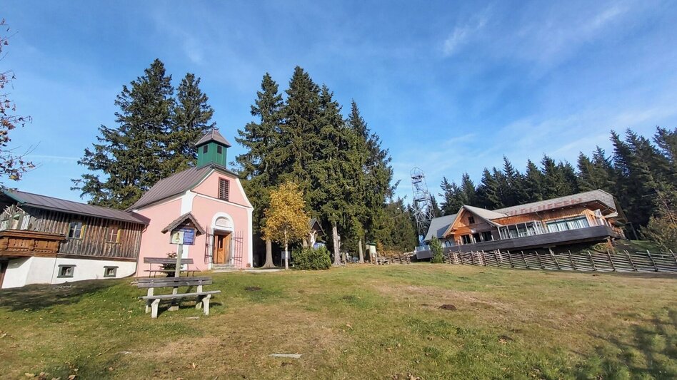 Wanderung Wildwiesenweg, (Strallegg - Wildwiesen Rundweg) - Touren-Impression #2.5 | © Oststeiermark Tourismus