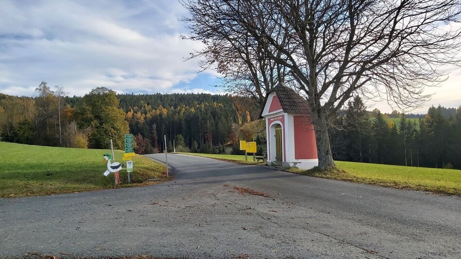 Wanderung Wildwiesenweg, (Strallegg - Wildwiesen Rundweg) - Touren-Impression #2.12 | © Oststeiermark Tourismus