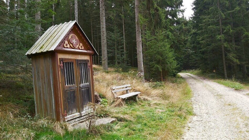 Wanderung Wildwiesenweg, (Strallegg - Wildwiesen Rundweg) - Touren-Impression #2.11 | © Oststeiermark Tourismus