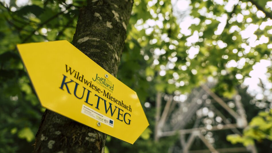 Wanderung Wildwiesenweg, (Strallegg - Wildwiesen Rundweg) - Touren-Impression #2.4 | © Bernhard Bergmann